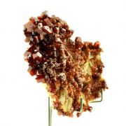 Vanadinite.