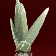 Quartz ( var. Prase )