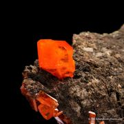 Wulfenite