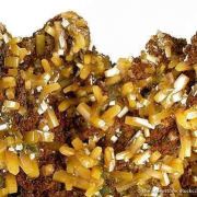 Wulfenite With Mimetite