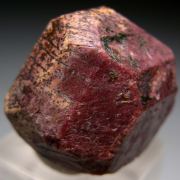 Eudialyte