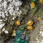 Chrysocolla after Malachite after Azurite with Wulfenite