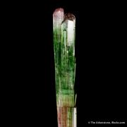 Elbaite Tourmaline