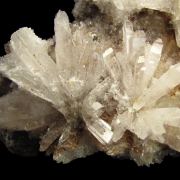 Creedite