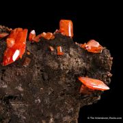 Wulfenite