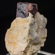 Tantalite on Albite