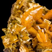 Wulfenite