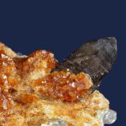 Spessartine garnet on Quartz (Smoky) with Orthoclase