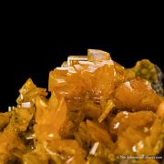 Wulfenite