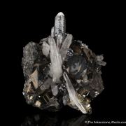 Tetrahedrite, Hubnerite, Quartz and Pyrite