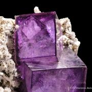 Fluorite on Quartz