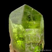 Forsterite var. Peridot