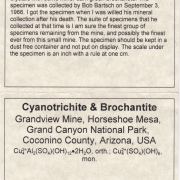 Cyanotrichite and Brochantite