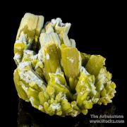 Plumbogummite replacing Pyromorphite