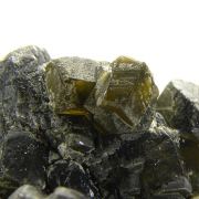 Siderite with Pyrite (replacing Siderite)