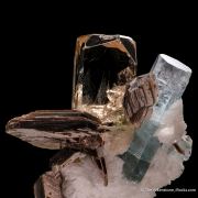 Topaz, Aquamarine, Muscovite, and Cleavelandite