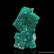 Cuprian Adamite