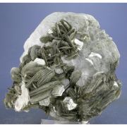 Muscovite