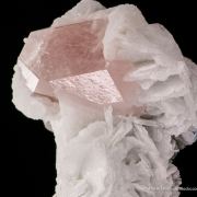 Beryl var. Morganite in Cleavelandite