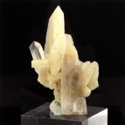 Quartz + Albite.