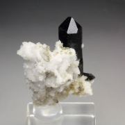 QUARTZ var. SMOKY, ALBITE