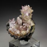 CREEDITE