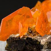 Wulfenite