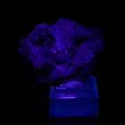 YTTROFLUORITE and GYPSUM on CALCITE - Qinglong Mine (Dachang Mine), Qinglong, Qianxinan, Guizhou, China