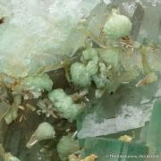 Fluorite with Adamite