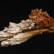 Vanadinite