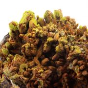 Pyromorphite.