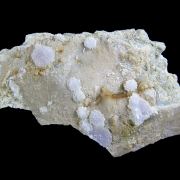 Creedite