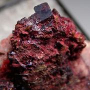 Cuprite var. Chalcotrichite