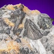 Chalcocite  on Gypsum