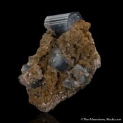 Apatite on Muscovite