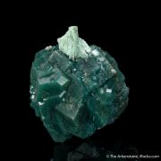 Apophyllite with Celadonite Inclusions