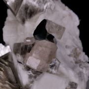 APATITE and SCHORL on MUSCOVITE and QUARTZ - Pakistan