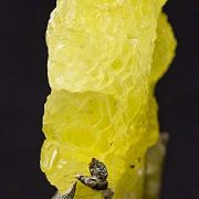 Brucite