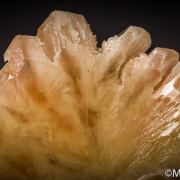 Cerussite