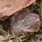 Fluorite on Muscovite