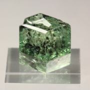 gem GARNET var. GROSSULAR var. TSAVORITE - floater