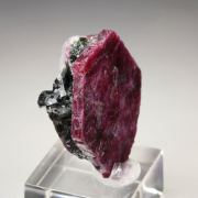 CORUNDUM var. RUBY, MUSCOVITE