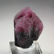 TOURMALINE var. RUBELLITE