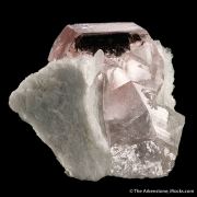 Beryl var. Morganite with Albite