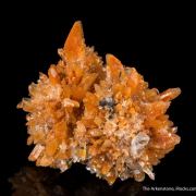 Creedite