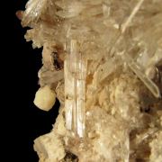 Creedite