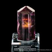 Fluor-liddicoatite Tourmaline