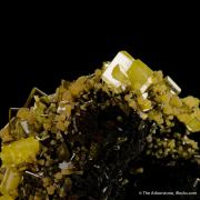 Wulfenite with Mimetite