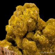 Pyromorphite