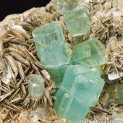 Aquamarine on Muscovite